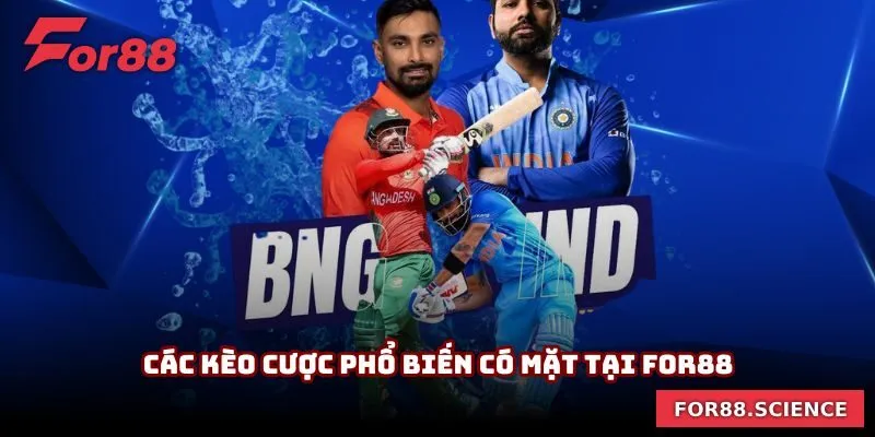 Các kèo cược phổ biến có mặt tại For88